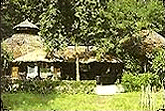 Chitwan Jungle Lodge