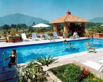 Roof Top Swimming Pool- Radission Hotel