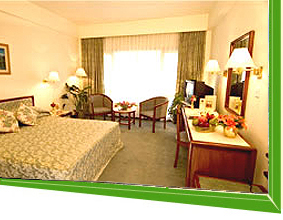 Room in Himalaya Hotel