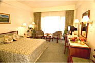 Double Room in Himalaya Hotel