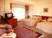 Business Suite in Himalaya Hotel
