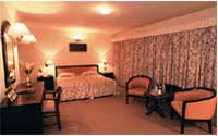 Room In Hotel Shankar